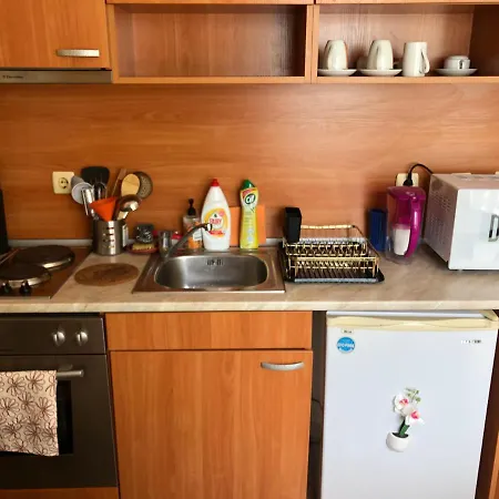 公寓 Apartament 2 Pe Malul Marii Free Parking *